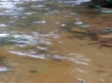 Rural · 100m² · Chácara em  Estrada do Bananal - Agenor de Campos - Mongaguá/SP