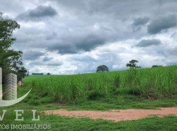 20230203144308761525.jpg · Fazenda para Venda em Ribeirão Bonito, rural, 3 dormitórios, 2 banheiros