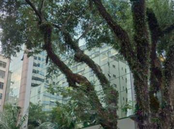 locacao-jardim-paulista-sao-paulo-1-5892541.png · Imoveis - no Jardim Paulista