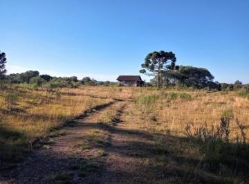 Rural , Jaquirana · FAZENDA 433ha NA CHAPADA, ZONA RURAL DE JAQUIRANA/RS