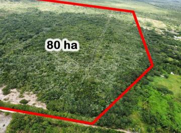 Terreno · 80000m² · Excelente area em Macaiba  - 80ha