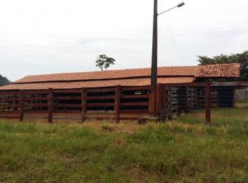 Rural de 2 quartos, Campos Lindos · EXCELENTE FAZENDA ALTO BONITO. (Rancharia) COD: 4733 F:(11) 97302-9229 CESAR
