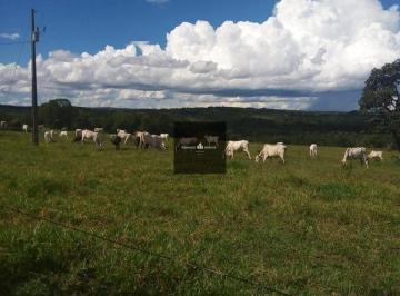 Rural · 4050000m² · 3 Quartos · 5 Vagas · Fazenda de 403 Hectares em Camapua MS