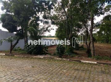 Terreno , Lauro de Freitas · Terreno à venda em condomínio fechado com 4.500m² em Lauro de Freitas