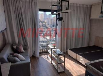 e1ebce2157e50481822e8852f3ec3931.jpg · Apartamento de 25m² com 1 quartos