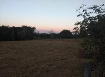 Terreno de 1 quarto, São Pedro · Lote em Estrada Municipal - São Benedito - São Pedro/SP
