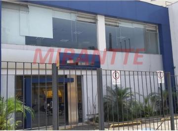 da33c979e9d027d633625bb812250862.jpg · Comercial de 604m²