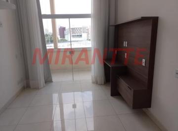 e983ba0a68df773a0929e696c94af0de.jpg · Apartamento de 35m² com 1 quartos