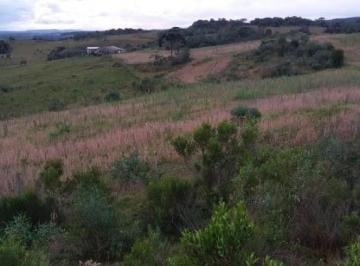 Rural , Jaquirana · FAZENDA COM 131ha EM JAQUIRANA/RS