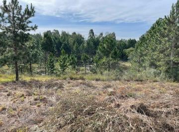 Terreno · 3776m² · TERRENO CONDOMÍNIO  QUATRO BARRAS - PR
