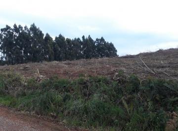 Terreno ·
Área rural em Gramado