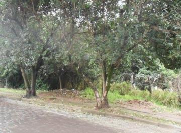Terreno · 1200m² · Terreno à venda, 1200 m² por R$ 556.000,00 - Vila Conceição - Porto Alegre/RS