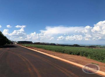 94fc118ea938481fa13baf952d7a240e876056e7 · Área à venda, 68000 m² por R$ 23.000.000,00 - Distrito Industrial - Cravinhos/SP