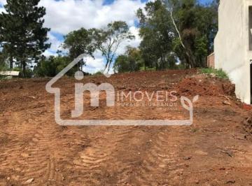 202509291426373089.jpg · Terreno para Venda em Balsa Nova, São Caetano