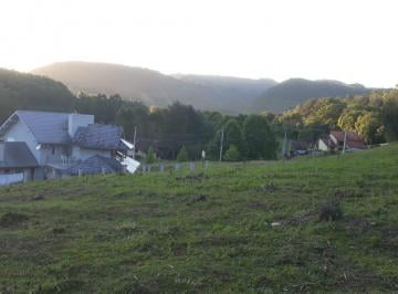 16734172_g.jpg · 
                                Excelente terreno no bairro Picada Holanda em Picada Café RS
      