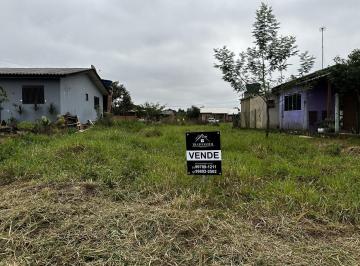 31168116_g.jpg · 
                                Terreno a venda em sapiranga 
                            