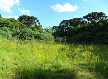 Terreno · 9063m² · Terreno para Venda em Centro Araucária-PR