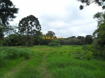 Terreno · 49350m² · Terreno para Venda em Roseira São José dos Pinhais-PR