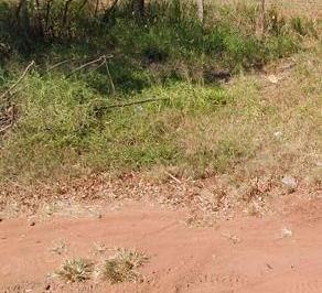 a839765211c2cf40a241d71416655fef.jpg · ÁREA À VENDA, 150000 M² POR R$ 9.750.000 - AGUA ESPRAIADA - LIMEIRA/SP