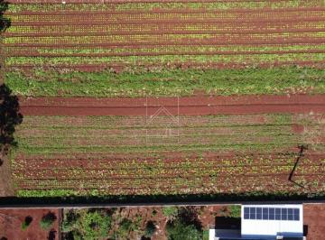 Rural · Chácaras a venda no Loteamento Mata Verde em Foz do Iguaçu