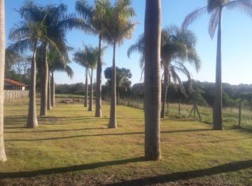 Terreno · 2000m² · Terreno à venda em Londrina, Gleba Palhano