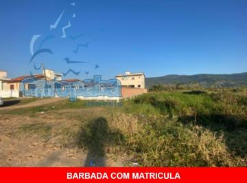 Foto 03 · VENDO TERRENO EM GAROPABA, AREIAS DE PALHOCINHA, ESCRITURA PÚBLICA, 426,00M², PLANO, PRÓXIMO AO CENT