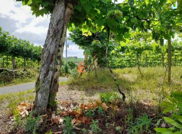 Terreno · 3452m² · INVISTA NESSE ÓTIMO TERRENO - VALE DOS VINHEDOS
