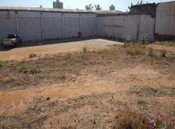 Foto 01 · Area, São Francisco, Catanduva, SP