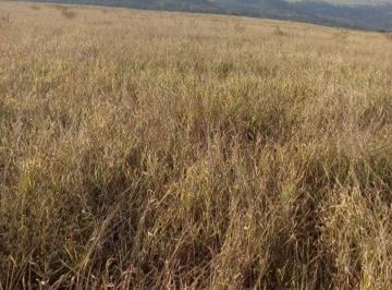 24ea99f2e9e6cbfdd0d91658beadcad4.jpg · FAZENDA À VENDA, 1306800 M² POR R$ 180.000 O ALQUEIRE - ITIRAPINA/SP
