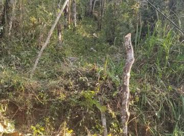 Terreno · 10431m² · TERRENO BOSQUEADO COM RIACHO EM JUQUITIBA/SP - 10.431,80M²