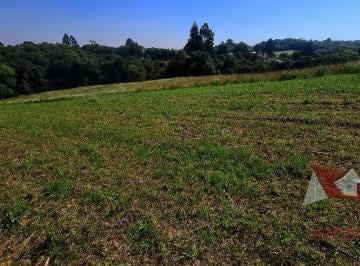 Rural , São José dos Pinhais · Chácara à Venda sem benfeitorias em São José dos Pinhais