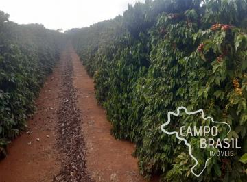 Foto 01 · FAZENDA 81,6 ALQUEIRES COM PLANTAÇÃO DE CAFÉ !