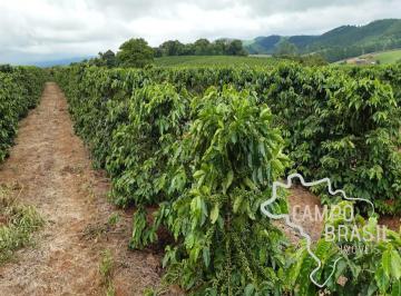 Foto 08 · FAZENDA 81,6 ALQUEIRES COM PLANTAÇÃO DE CAFÉ !