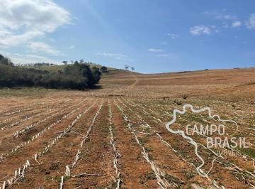 Foto 38 · FAZENDA 250 HECTARES DE  CRIAÇÃO DE ZEBUÍNO, NELORE MOCHO, PURO DE ORIGEM (PO), PORTEIRA FECHADA NO 
