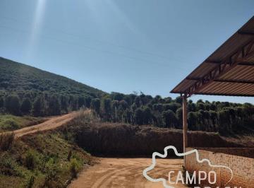Foto 01 · FAZENDA 57 ALQUEIRES EM SANTA RITA DO SAPUCAÍ !