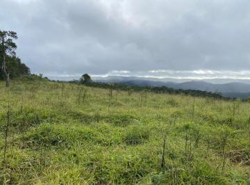 Foto 01 · Fazenda 78 Alqueires, Rico em Água, Planta-se 40 Alqueires, Atualmente Esta Em Pasto, Ótima Localiza