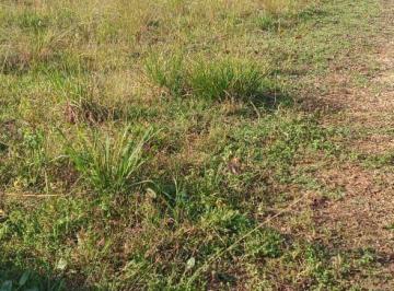 2c77927c3ccf49b7f939123ac866a0c97ee49ef2 · Terreno à venda, 300 m² por R$ 220.000,00 - Nova Cananéia  - Cananéia/SP