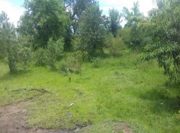 2022/07/a79caa8d4be132a8fa54b493bf98a8d3.jpg · TERRENO - CAMPINAS