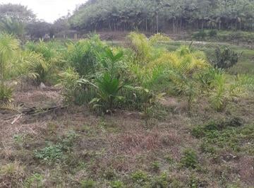 Rural · 484m² · Sítio em- Sete Barras