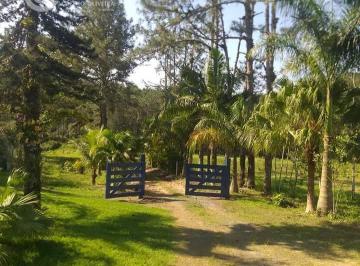 Rural · Sítio em Zona Rural  -  Pariquera-açu