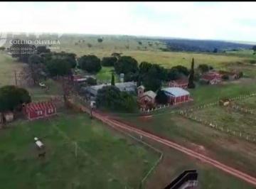 Rural · 5561m² · Fazenda em ..  -  Tacuru Mato Grosso do Sul