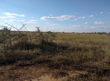 Rural , Janaúba · FAZENDA 1800 HA EM JANAUBA MG