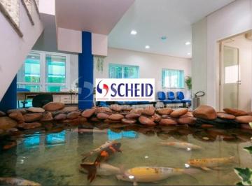 Comercial · 404m² · 10 Vagas · Prédio inteiro à venda em Campo Grande - SP