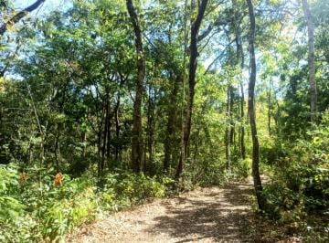 Rural de 1 quarto, Colinas do Sul · LINDA ÁREA COM NASCENTE NA CHAPADA DOS VEADEIROS
