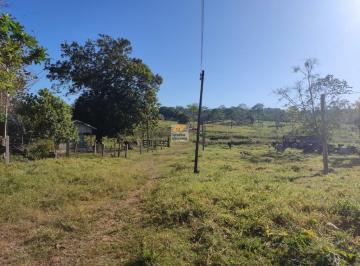 Foto 02 · FAZENDA À VENDA EM JI-PARANÁ