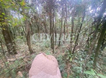 Foto lote · Lote 1.200 metros, área preservação permanente