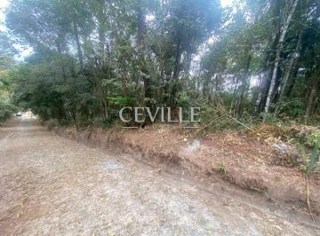 Foto lote · Lote 1.200 metros, área preservação permanente