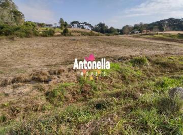 25877977_g.jpg · 
                                Terreno à venda em Forqueta 
                            