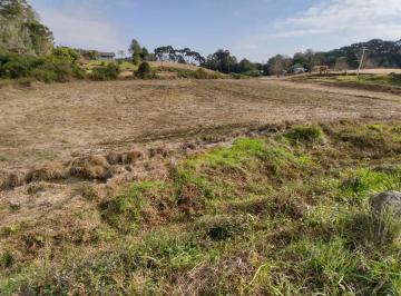Terreno · 1m² · Terreno à venda em Forqueta