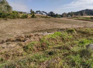 Terreno · 1m² · Terreno à venda em Forqueta